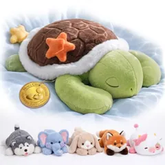 Mewaii tortue